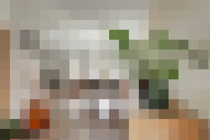 Molefinne 25 Heeg thumbnail 14