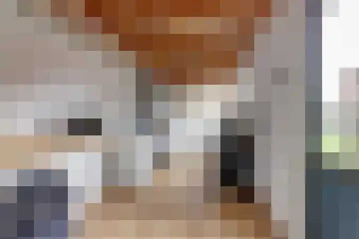 Molefinne 25 Heeg thumbnail 19