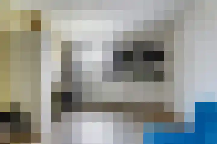 Molefinne 25 Heeg thumbnail 25