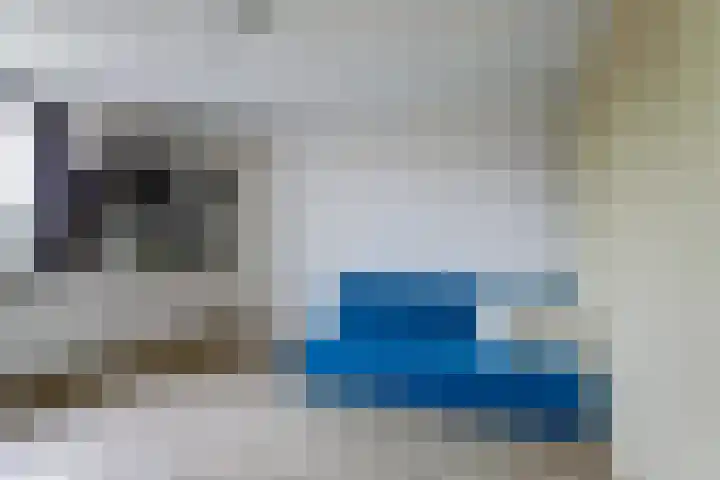 Molefinne 25 Heeg thumbnail 26