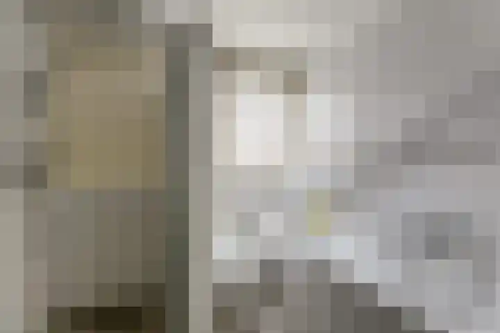 Molefinne 25 Heeg thumbnail 27
