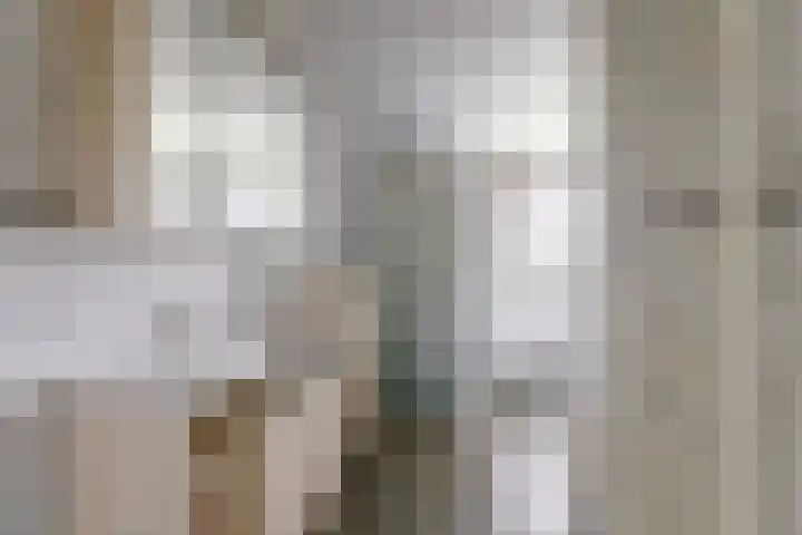 Molefinne 25 Heeg thumbnail 29