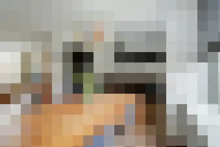 Molefinne 25 Heeg foto 3
