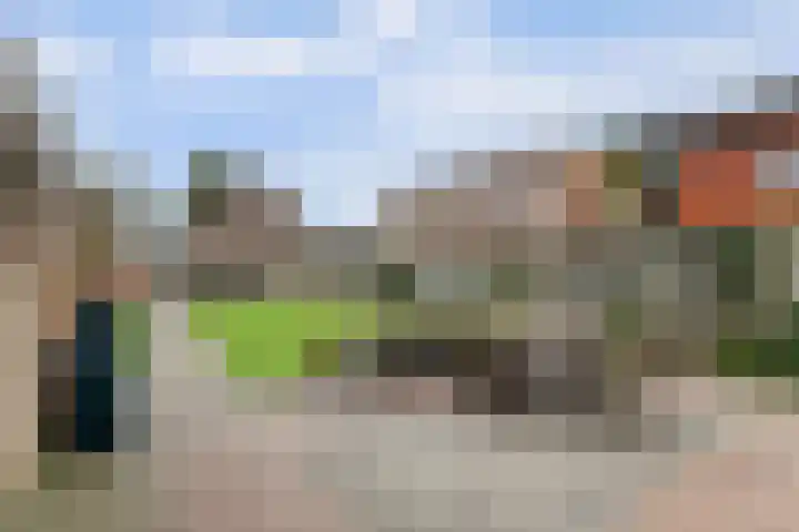 Molefinne 25 Heeg thumbnail 31