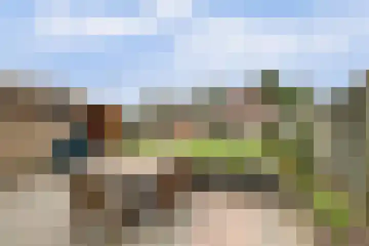 Molefinne 25 Heeg thumbnail 32