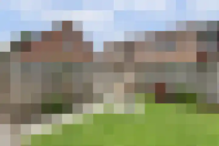 Molefinne 25 Heeg thumbnail 33