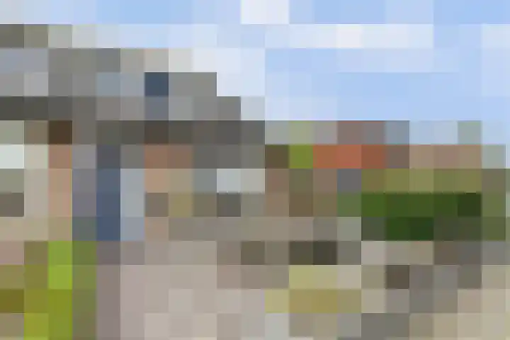 Molefinne 25 Heeg thumbnail 34