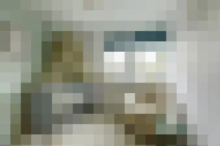Molefinne 25 Heeg thumbnail 4