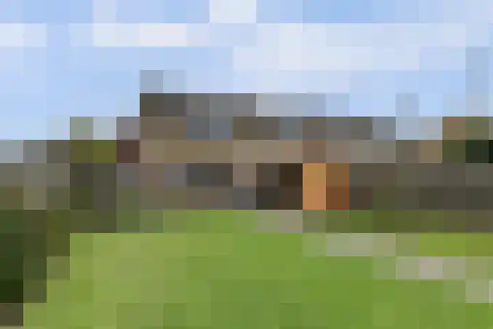 Molefinne 25 Heeg thumbnail 5