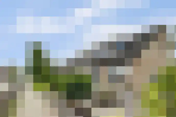 Molefinne 25 Heeg thumbnail 6