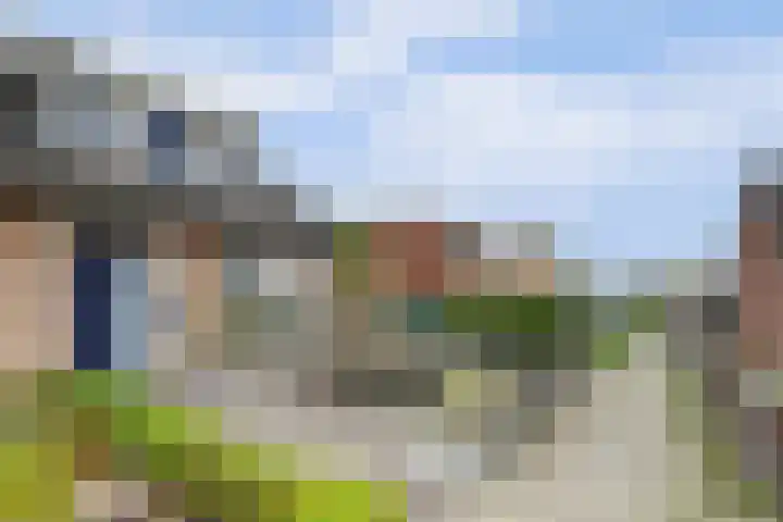 Molefinne 25 Heeg thumbnail 7