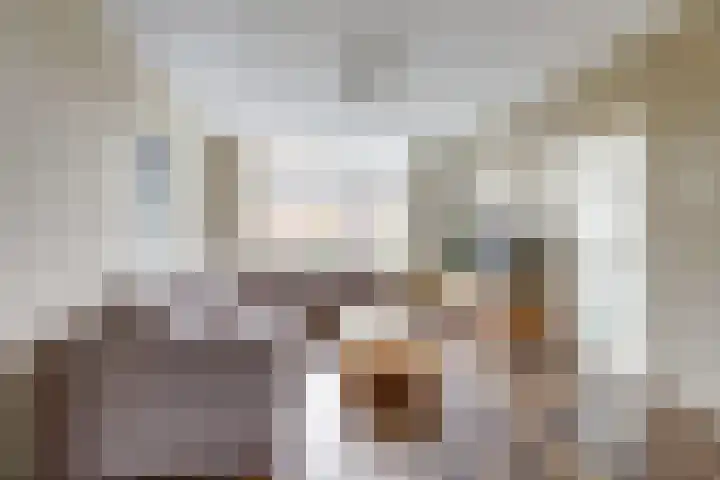Molefinne 25 Heeg thumbnail 9