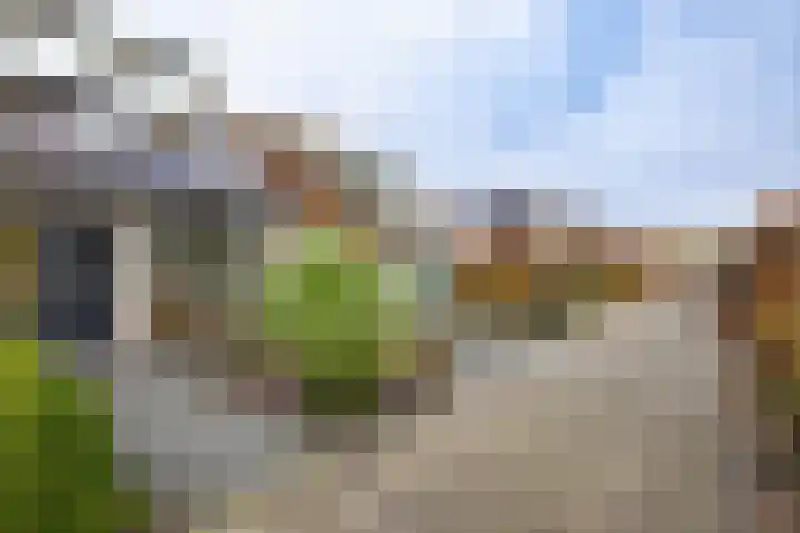Molefinne 29 Heeg thumbnail 10