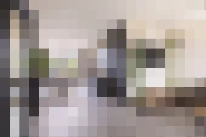 Molefinne 29 Heeg thumbnail 13