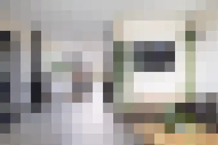 Molefinne 29 Heeg thumbnail 16