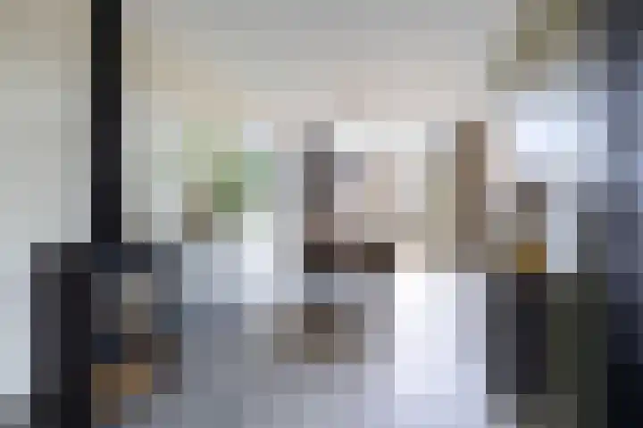 Molefinne 29 Heeg thumbnail 17