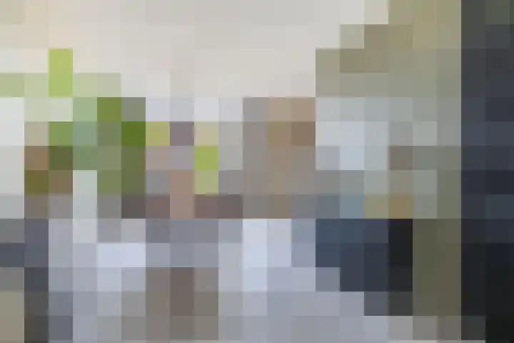 Molefinne 29 Heeg thumbnail 19