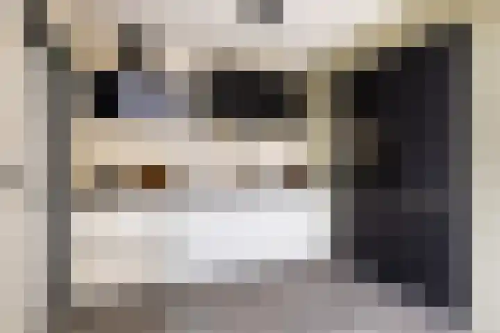 Molefinne 29 Heeg thumbnail 20