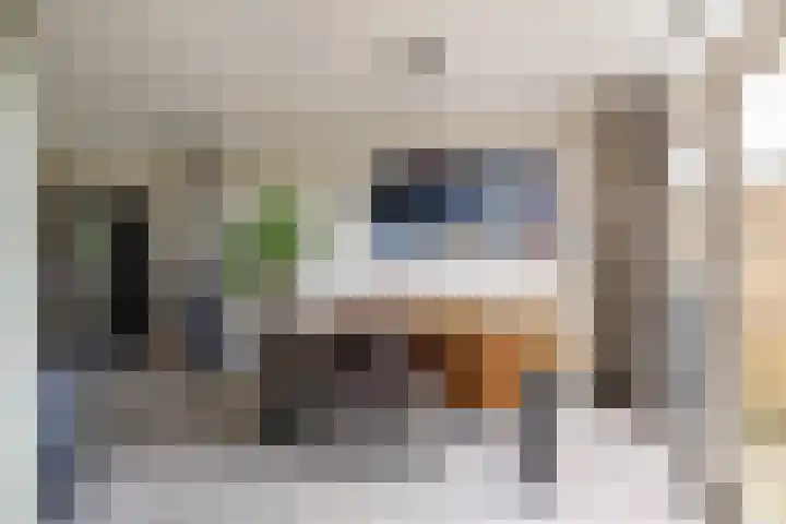 Molefinne 29 Heeg thumbnail 21