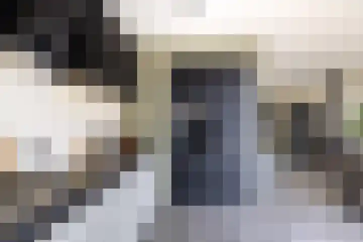 Molefinne 29 Heeg thumbnail 23