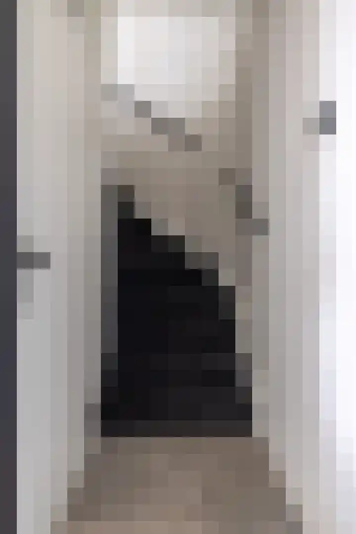 Molefinne 29 Heeg thumbnail 25