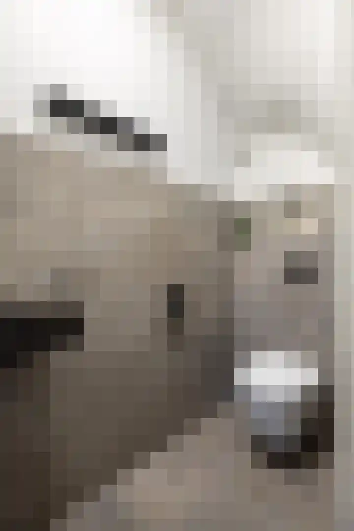 Molefinne 29 Heeg thumbnail 26