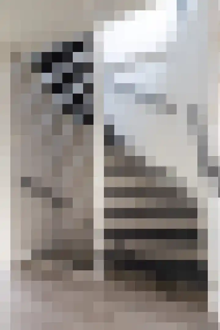 Molefinne 29 Heeg thumbnail 27
