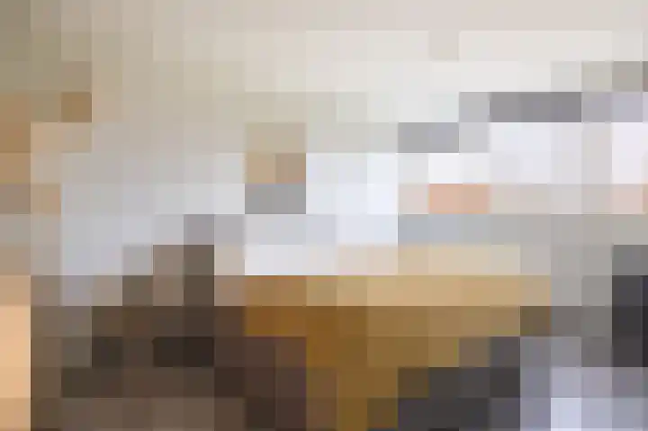 Molefinne 29 Heeg thumbnail 29