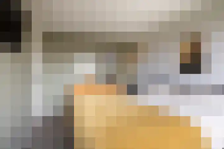 Molefinne 29 Heeg thumbnail 30
