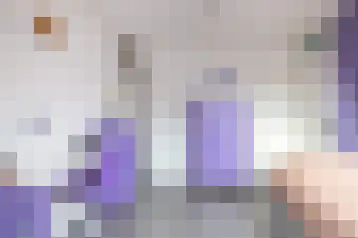 Molefinne 29 Heeg thumbnail 32