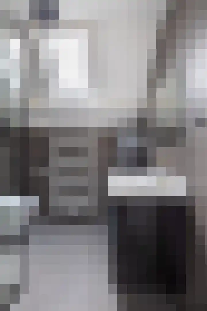 Molefinne 29 Heeg thumbnail 33