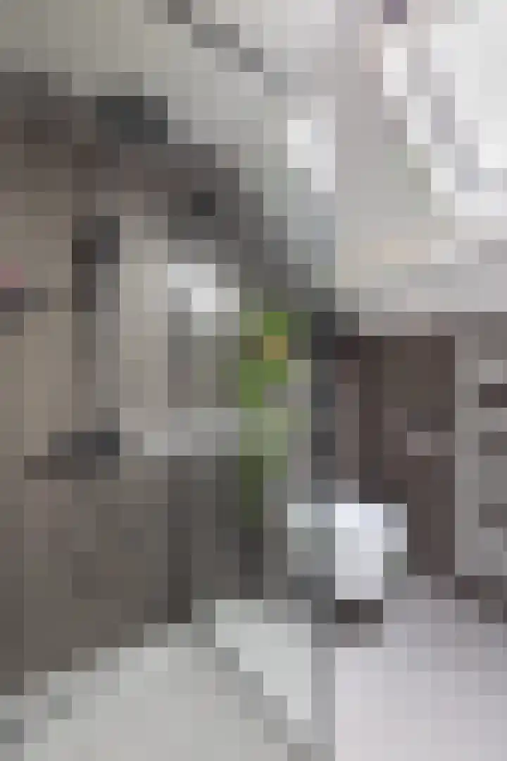 Molefinne 29 Heeg thumbnail 34