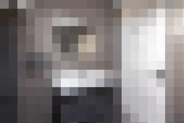 Molefinne 29 Heeg thumbnail 35