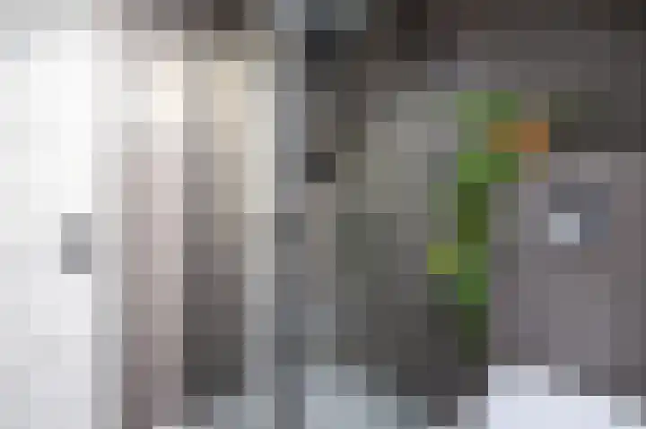Molefinne 29 Heeg thumbnail 36
