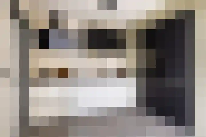 Molefinne 29 Heeg thumbnail 4