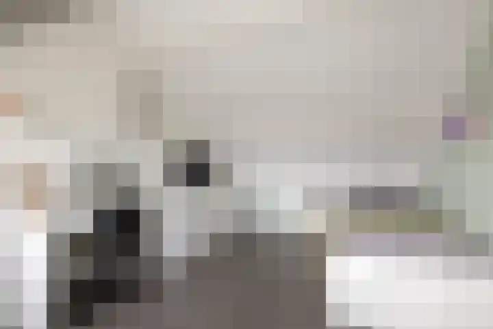 Molefinne 29 Heeg thumbnail 40
