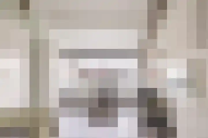 Molefinne 29 Heeg thumbnail 41