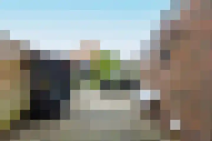 Molefinne 29 Heeg thumbnail 42