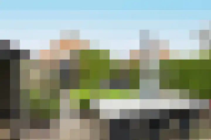Molefinne 29 Heeg thumbnail 43