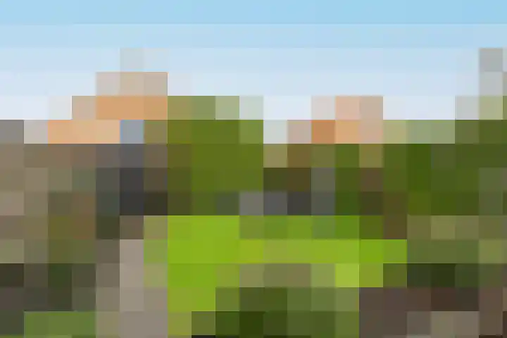 Molefinne 29 Heeg thumbnail 44