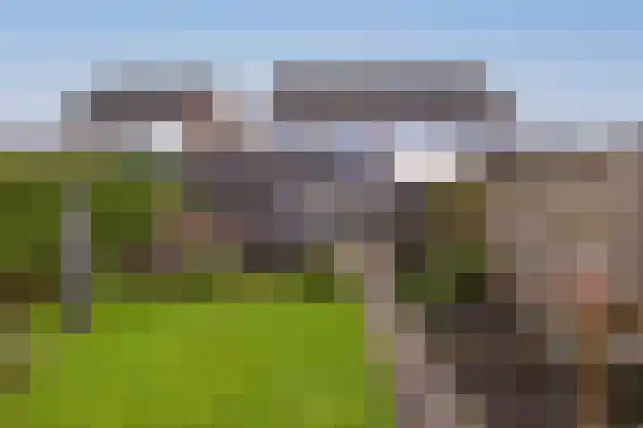 Molefinne 29 Heeg thumbnail 45