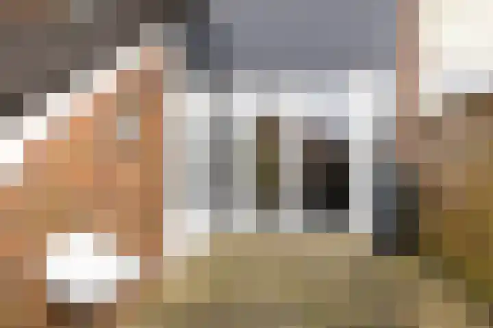 Molefinne 29 Heeg thumbnail 46