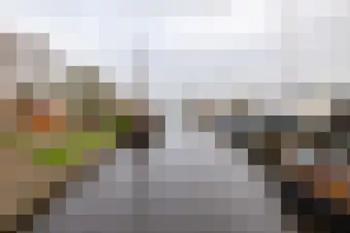 Molefinne 29 Heeg thumbnail 47