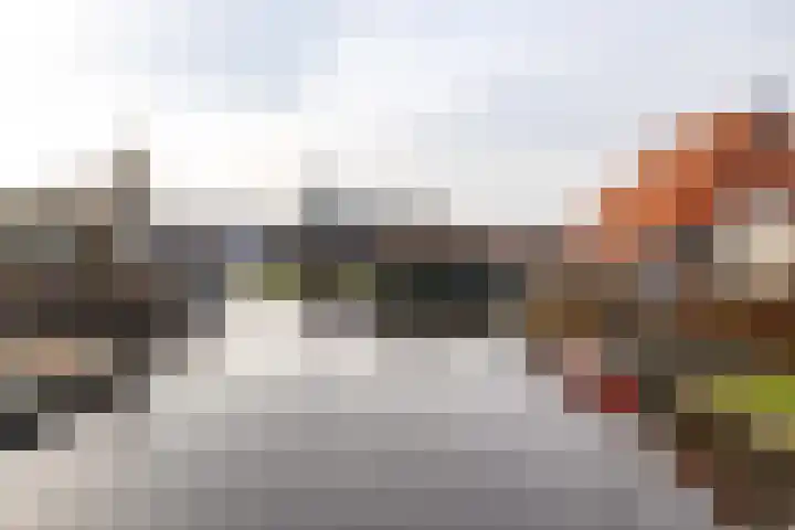 Molefinne 29 Heeg thumbnail 48