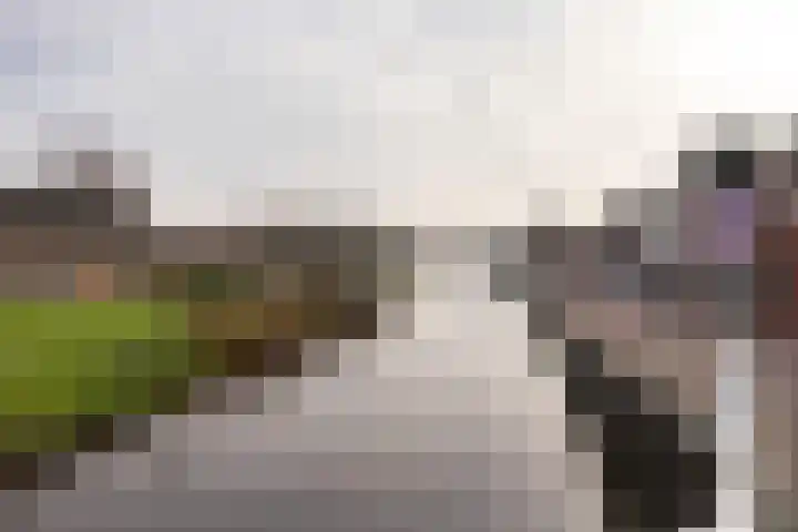 Molefinne 29 Heeg thumbnail 49