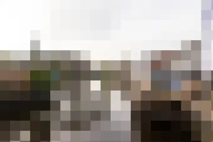 Molefinne 29 Heeg thumbnail 50