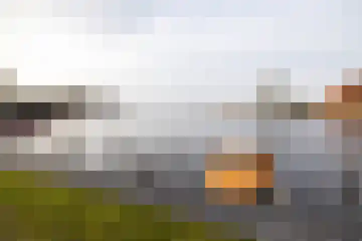 Molefinne 29 Heeg thumbnail 51