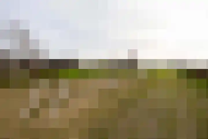 Molefinne 29 Heeg thumbnail 52