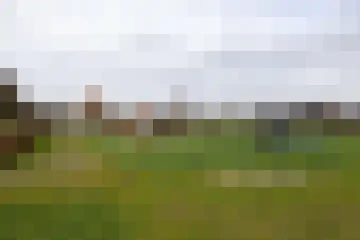 Molefinne 29 Heeg thumbnail 53