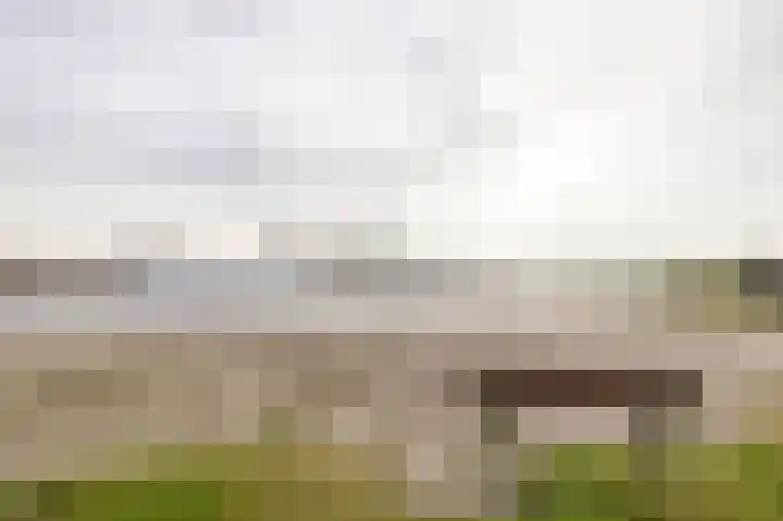 Molefinne 29 Heeg thumbnail 54